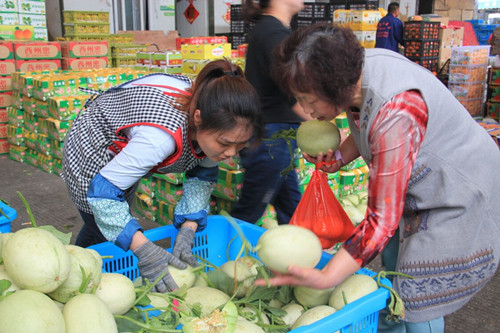 六宝典资料大全