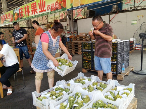 六宝典资料大全