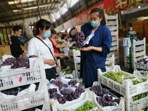 六宝典资料大全