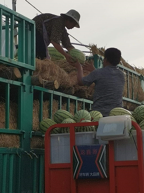 六宝典资料大全